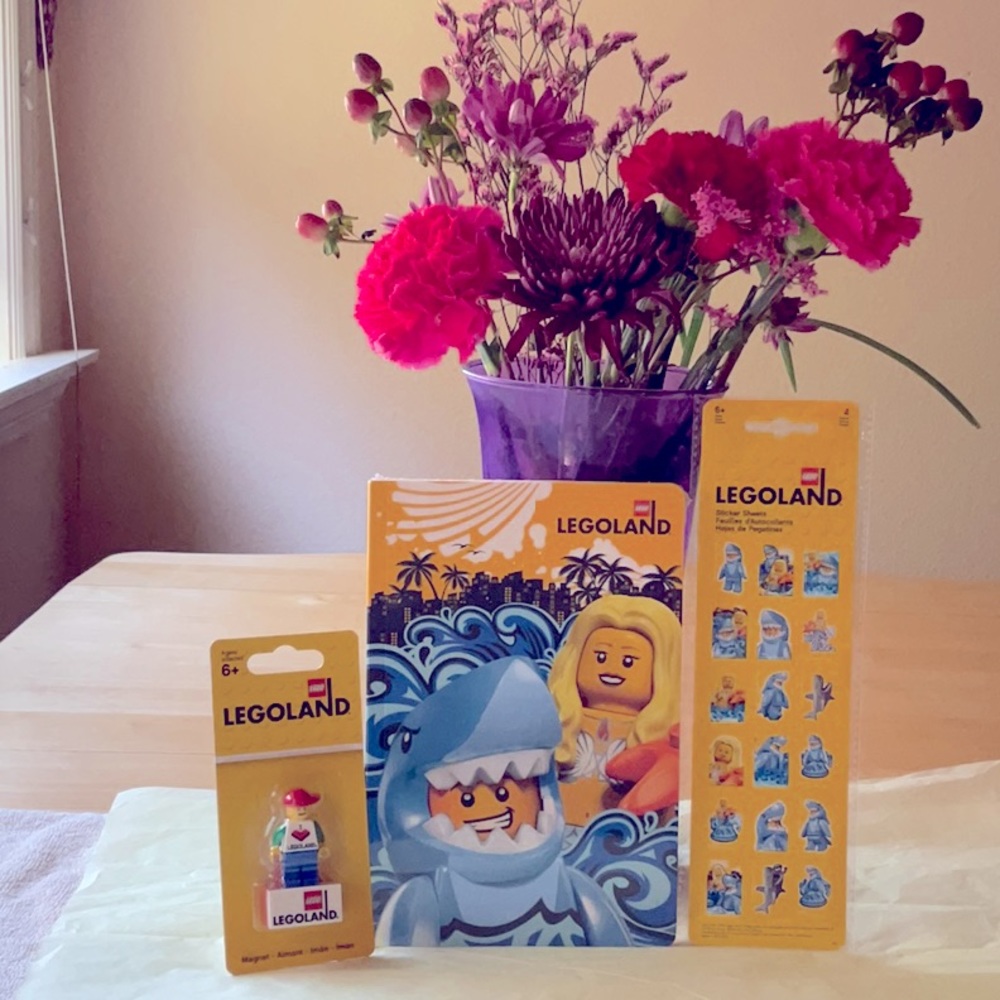 🦈 📚LEGOLAND  NOTEBOOK  BUNDLE 🦈📚